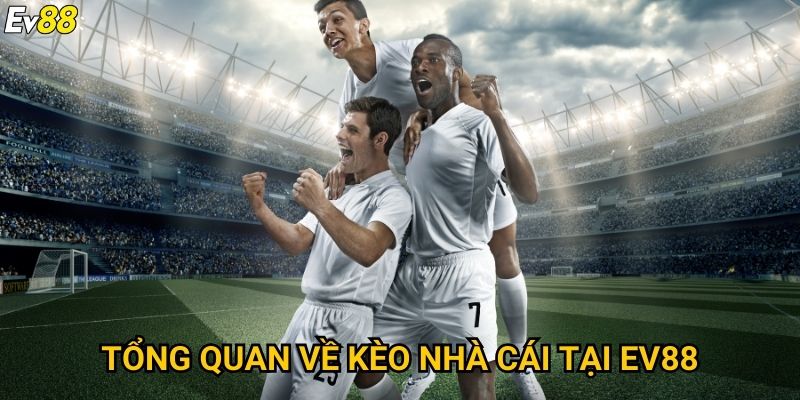 Tổng quan về kèo nhà cái tại Ev88