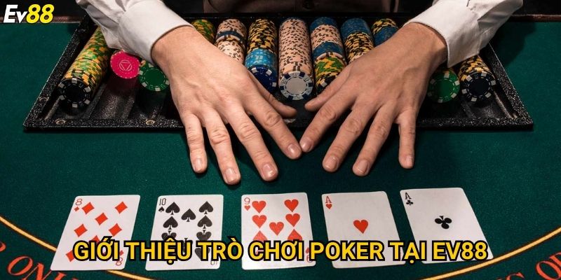 Poker Ev88 – Mẹo chơi chuyên nghiệp giúp tối ưu lợi nhuận 2 Giới thiệu trò chơi poker tại Ev88