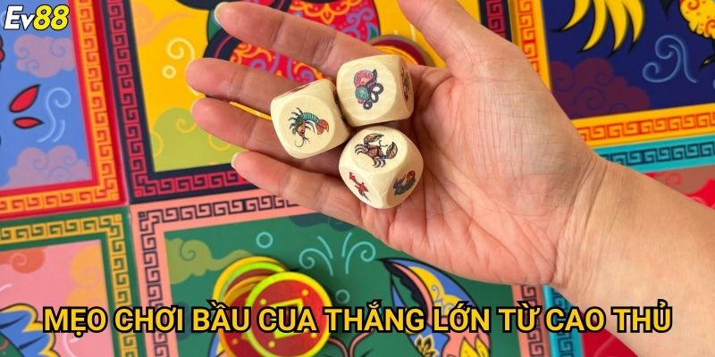 Mẹo chơi bầu cua thắng lớn từ cao thủ