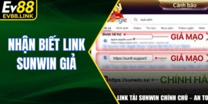 Nhận Biết Link Sunwin Giả Người Chơi Nạp Tiền Sai Chỗ